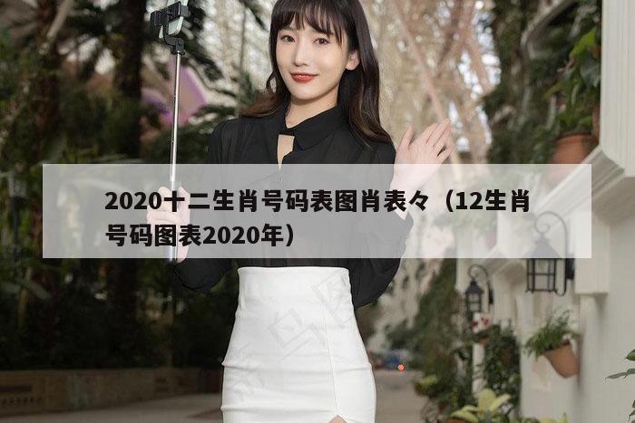 2020十二生肖号码表图肖表々（12生肖号码图表2020年）
